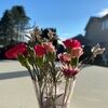 lilypetals50657